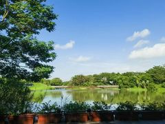 -福田红树林生态公园