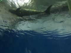 -北戴河圣蓝海洋公园