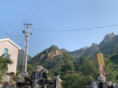 -大岭沟猕猴桃谷风景区