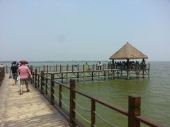 android_upload_pic-瑶湖郊野森林公园