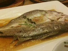 android_upload_pic-青年公社烤鸭(青年路店)