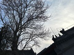 -白云观