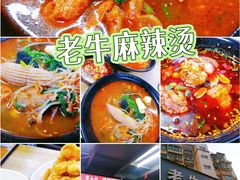-四川老牛麻辣烫(北门桥店)
