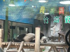 -栾川竹海野生动物园