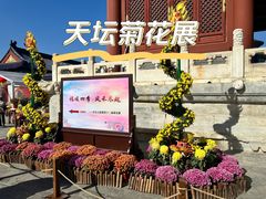 -天坛公园