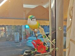 -花鸟鱼私家小厨·川菜(文殊院店)
