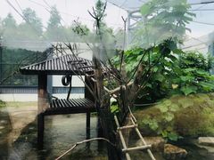 -上方山森林动物世界