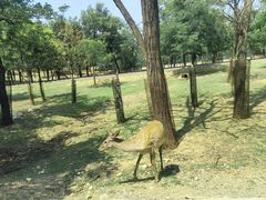 -秦皇岛野生动物园