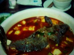 砂锅弓鱼-苍洱春饭店