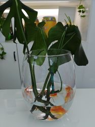 -斐尔国际皮肤管理中心