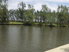 -白渔泡湿地公园