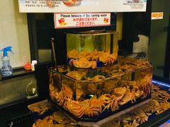 -蟹道乐(道顿堀本店)