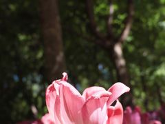 -长春公园(普阳街道)