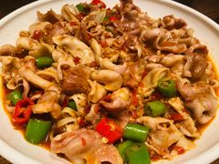 -老板恋上鱼(恒隆广场店)