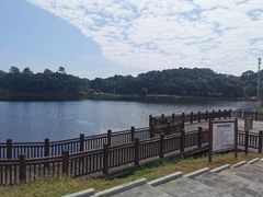 -海南热带雨林国家公园吊罗山景区