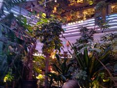 -桂满陇·杭州小馆(朝阳合生汇店)
