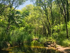 -碓臼峪自然风景区
