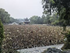 -莲池书院博物馆
