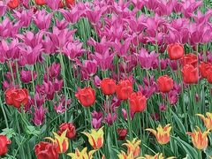 -国家植物园南园