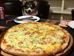 -百好乐宠物友好餐厅(朝外大街店)