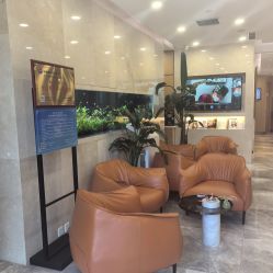 -臻悦医疗美容整形门诊部