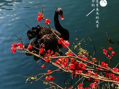 -西安浐灞国家湿地公园