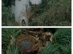 -宁波市保国寺古建筑博物馆