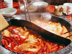 -袁老四重庆老火锅(桐梓坡店)