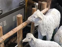 -霄汉羊排(万松园一店)