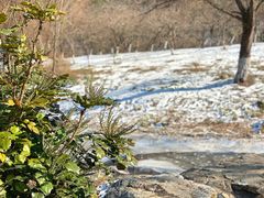 -南山风景名胜区