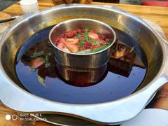 -金鼎雪山牦牛杂火锅(理县总店)