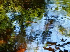 -皇马纯KTV(景田店)