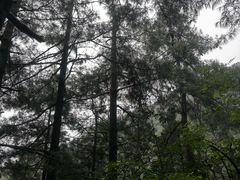 -苍山感通索道