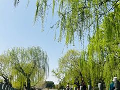 -济南大明湖景区