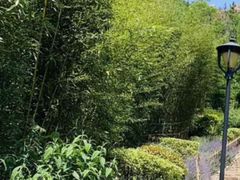 -竹子庵公园