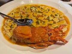 -海派悦庭·海胆烧麦·新融合菜(凯德广场店)