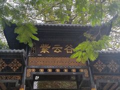-紫云谷景区