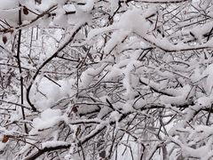 -终南山南五台景区