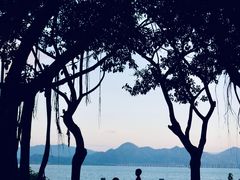 -深圳湾公园(南山区)