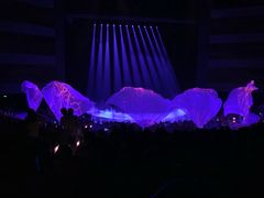 -水秀国际大剧院