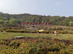 -金龙寺国家森林公园