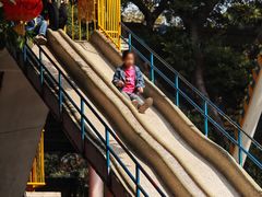 -顺德大良半月城游乐场