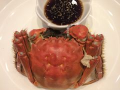 -新花城蟹粉馆(乌鲁木齐店)