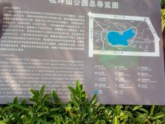 -松坪山公园