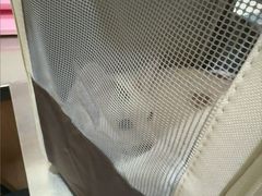 -瑞派名望志远动物医院·猫科·內科·异宠专科(直港大道店)