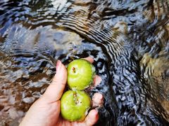 -西岭雪山大飞水景区