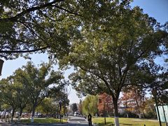 -东钱湖小普陀景区