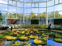 -仟吉(乐天城店)