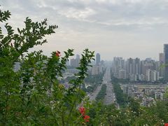 -板樟山森林公园