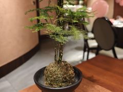 -皇厨荣升名厨家宴.赣州客家菜